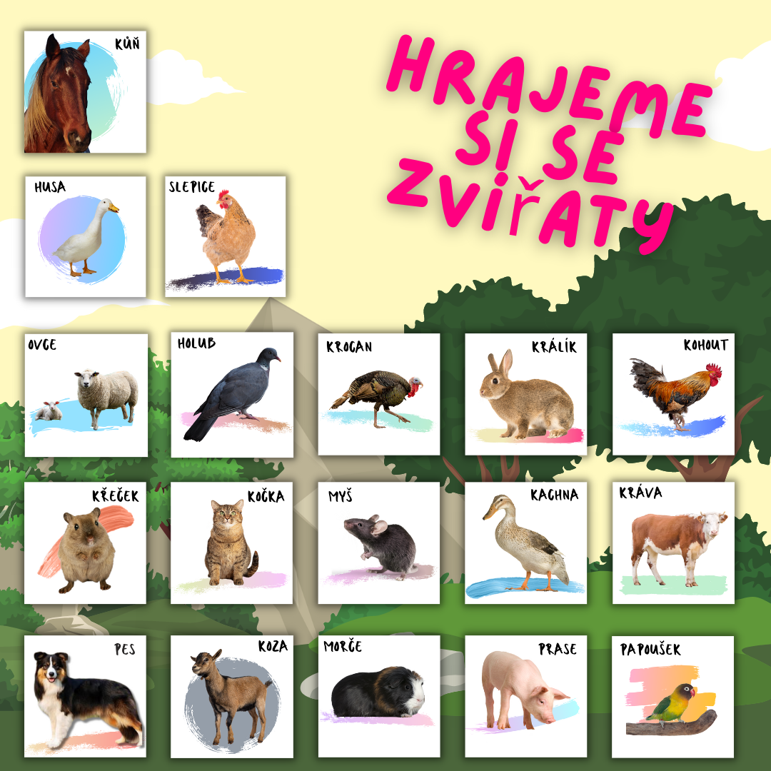 Magnetky - Domácí zvířata