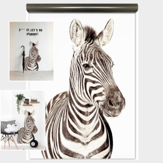 Magnetická tapeta - Zebra